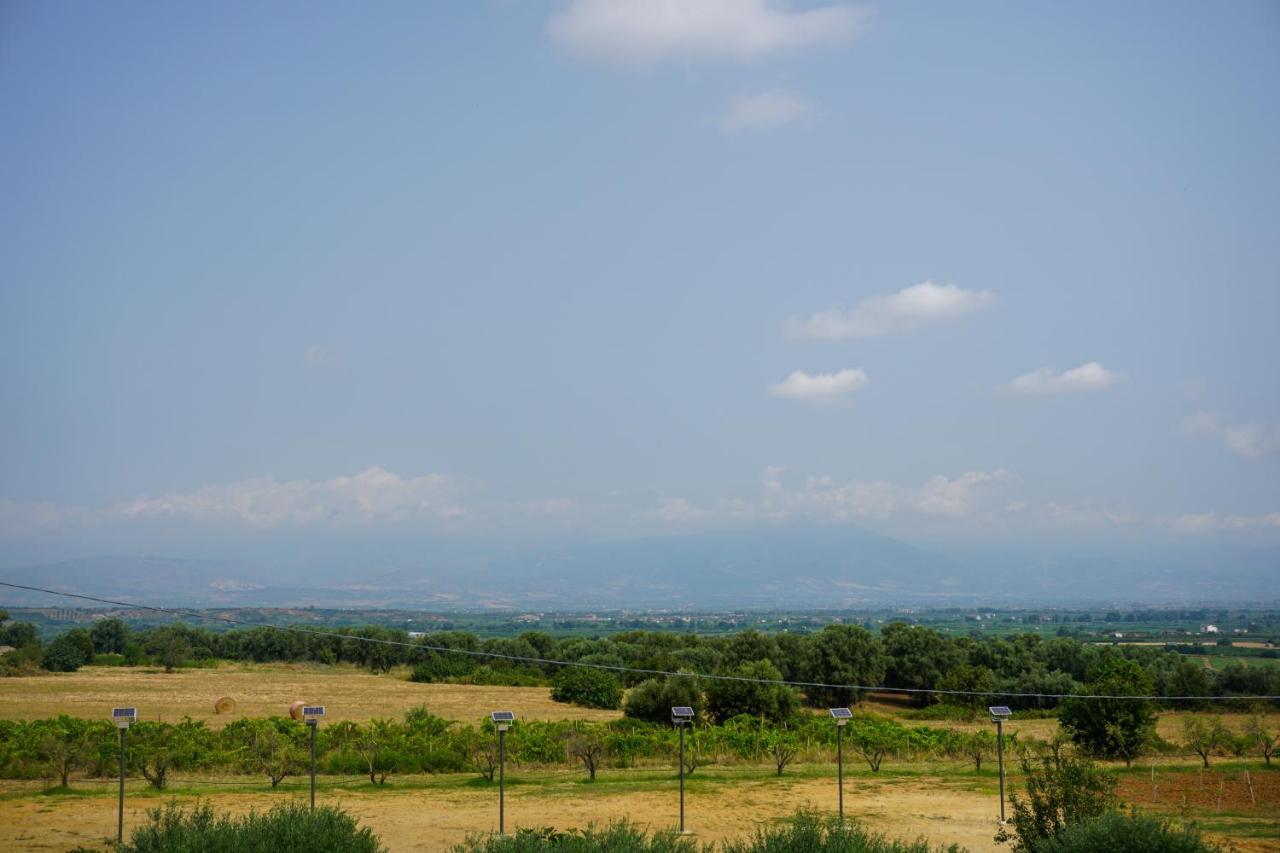 Agriturismo Casacchella Marina di Sibari Extérieur photo