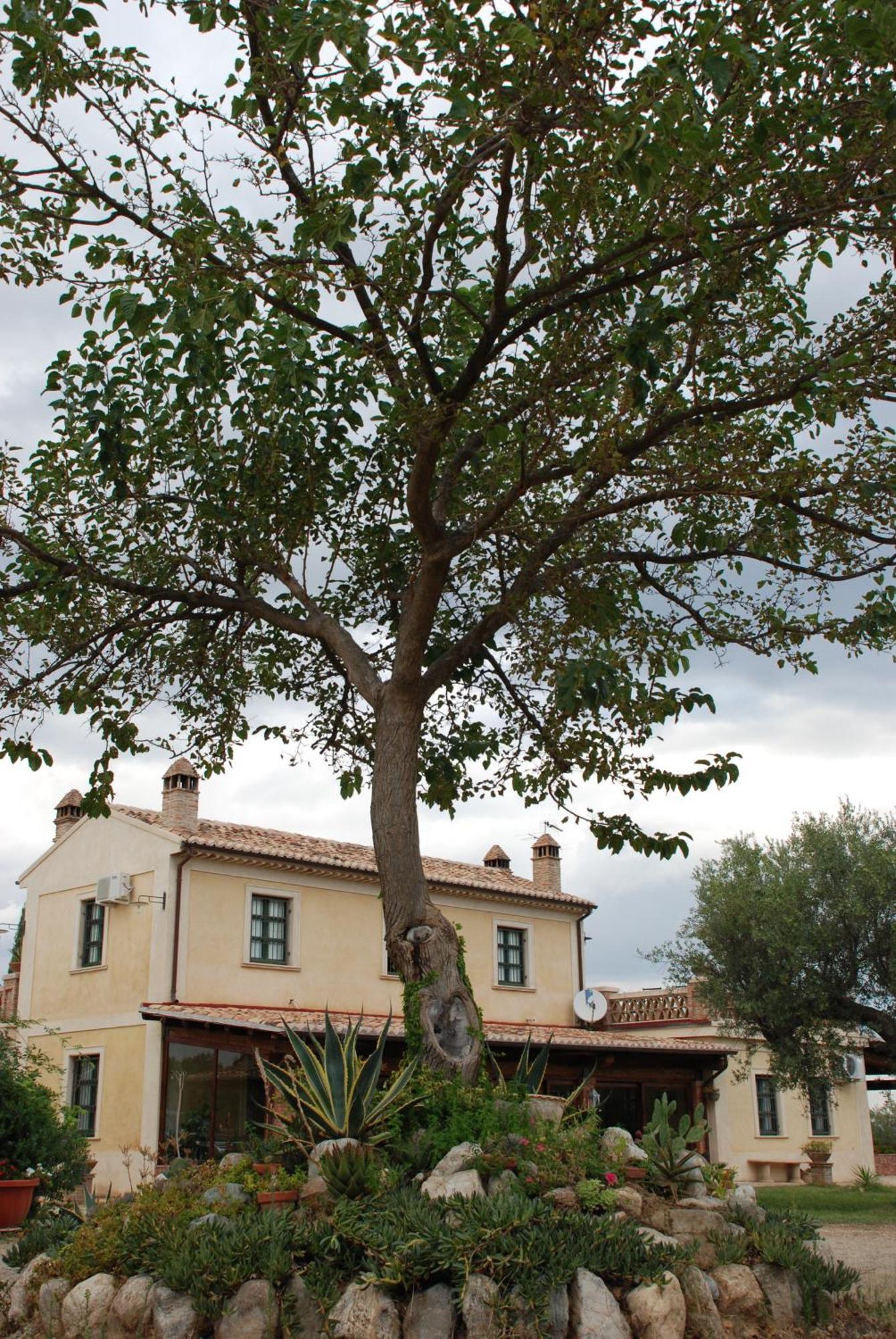 Agriturismo Casacchella Marina di Sibari Chambre photo